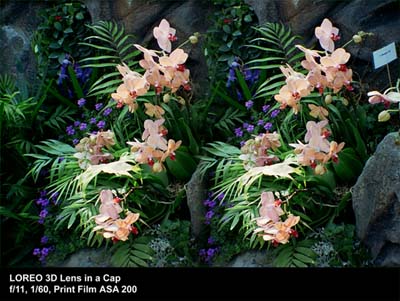 3D Lens in a Cap sample photo