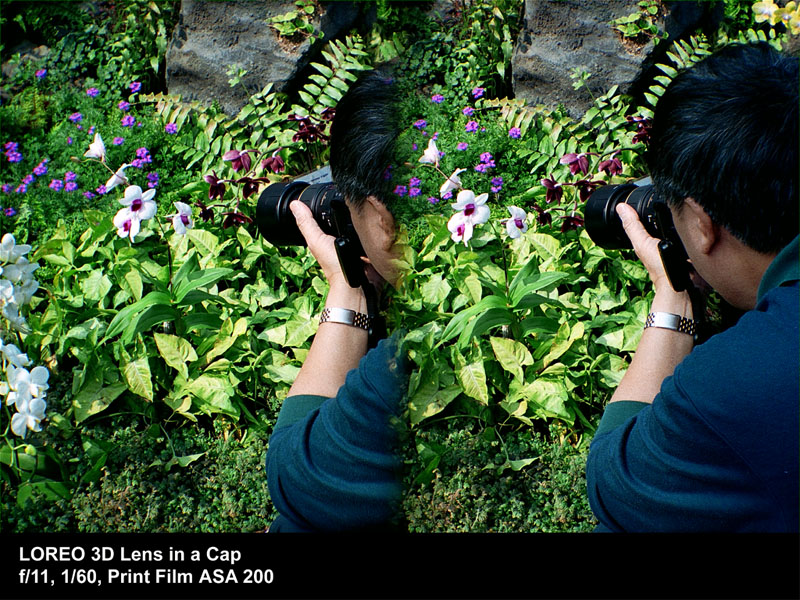 Man photographing flowers